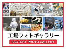 Factory Photo Gallery フォトギャラリーはこちら