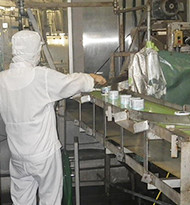 製造工程や衛生管理の確認をしています-01